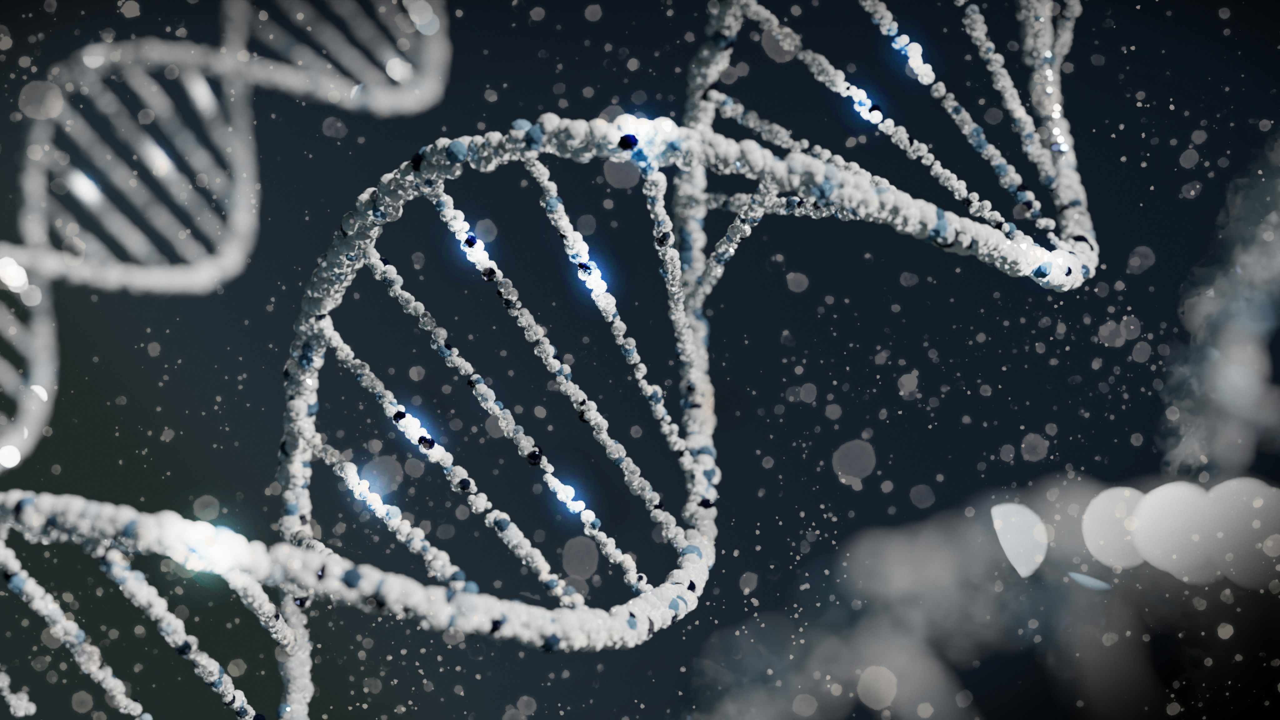 Elewacja wieżowca